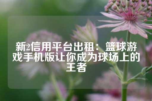 新2信用平台出租：篮球游戏手机版让你成为球场上的王者